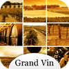Vins de France : le guide du vin – Grand Vin – Pratikeo