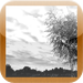 Grayscale Camera (Blur,Sharpness,Contrast) - Grayscale Harida
